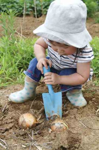 Teaching Gardening With Kids